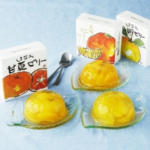 愛媛の柑橘ゼリー味くらべ 3種6個