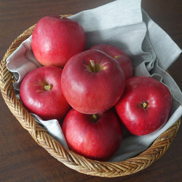 山田農園 百年林檎(紅玉)5kgイメージ