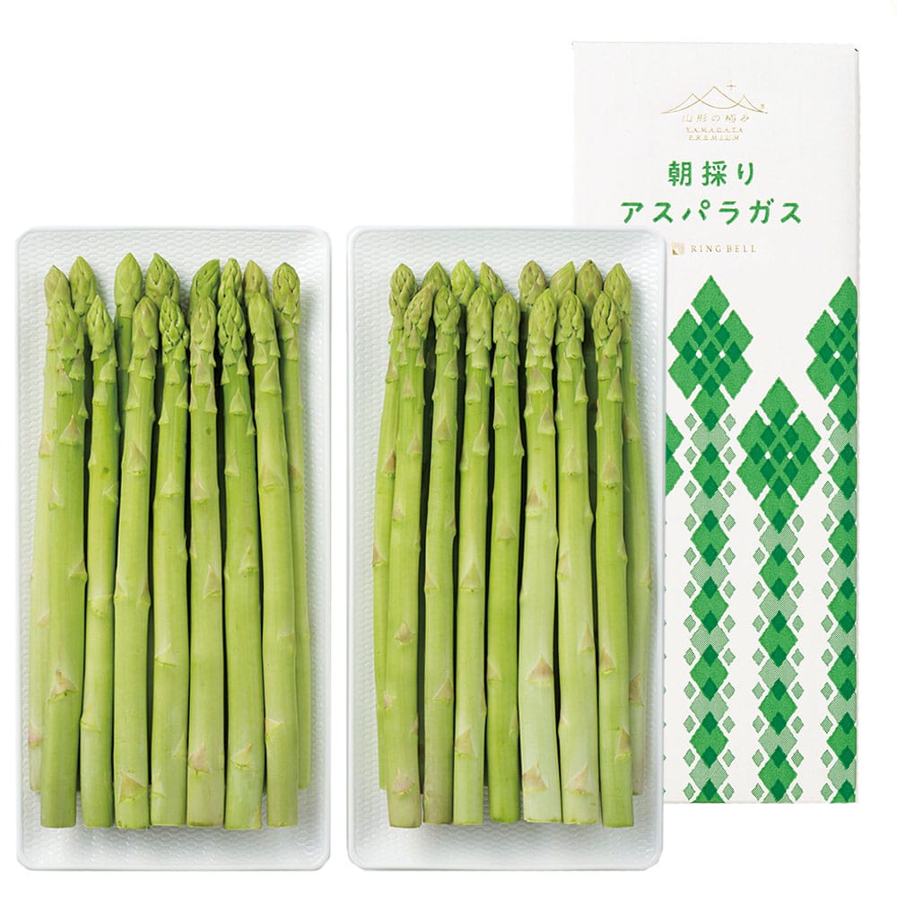 【婦人画報】山形県庄内産 朝採りアスパラガス2Lサイズ 500g×2箱 山形の極み 【婦人画報】山形県庄内産 朝採りアスパラガス2Lサイズ 500g×2箱 山形の極み