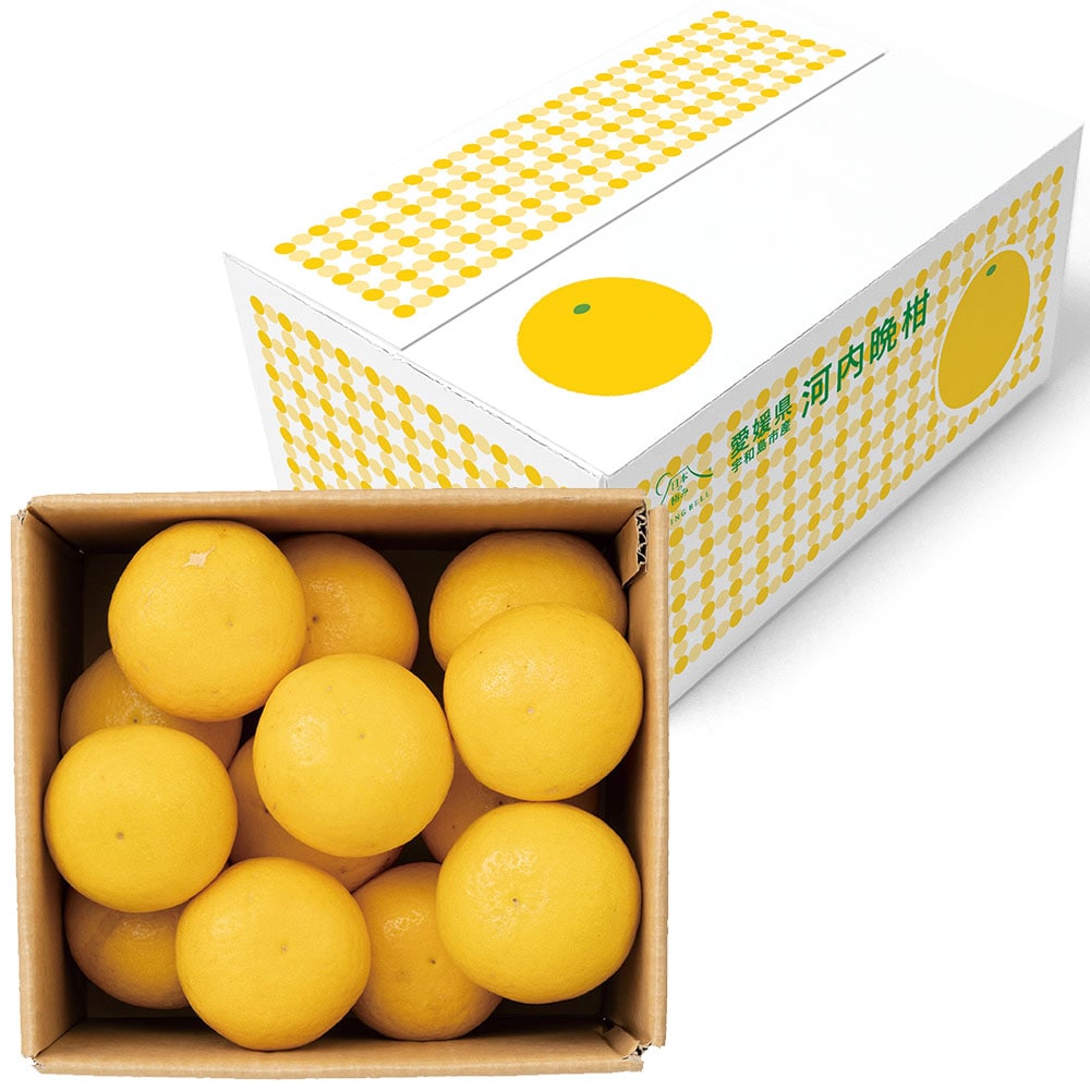 【婦人画報】愛媛県宇和島産 河内晩柑 4kg(12~14個) 日本の極み 【婦人画報】愛媛県宇和島産 河内晩柑 4kg(12~14個) 日本の極み
