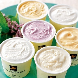 アイスクリーム 6種6個