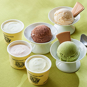 アイスクリーム 6種12個