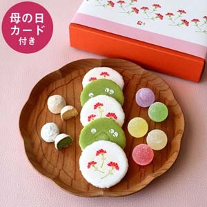 幸せづくし 母の日セット 9種14個(母の日カード付)