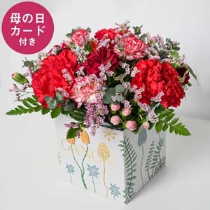 ガノンキューブ(母の日カード付)