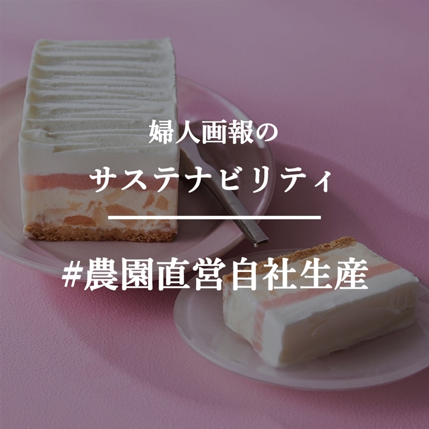 山梨の桃農家が作る！感動のジェラートケーキ