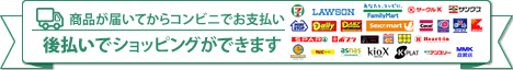東証一部上場企業のカード決済代行を利用しています。GMOペイメントゲートウェイ。